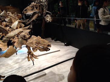 特別展「恐竜博2023」に投稿された画像（2023/5/7）
