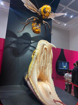 特別展「毒」に投稿された画像（2023/5/7）