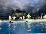 名古屋港水族館に投稿された画像（2023/5/7）