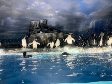 名古屋港水族館に投稿された画像（2023/5/7）