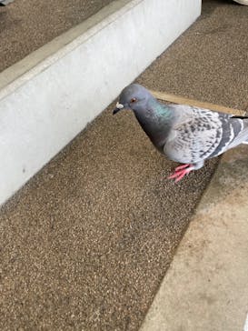 名古屋港水族館に投稿された画像（2023/5/7）