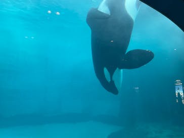 名古屋港水族館に投稿された画像（2023/5/7）