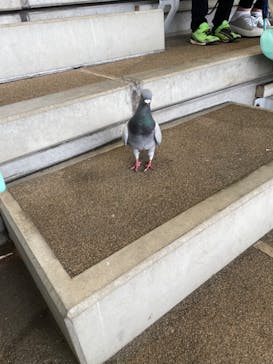 名古屋港水族館に投稿された画像（2023/5/7）