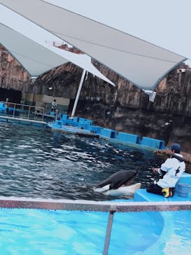 名古屋港水族館に投稿された画像（2023/5/7）
