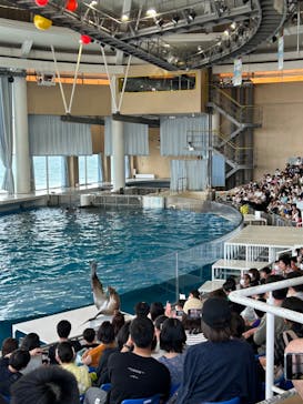 アクアワールド茨城県大洗水族館に投稿された画像（2023/5/7）