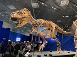 特別展「恐竜博2023」に投稿された画像（2023/5/7）