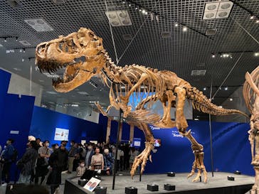 特別展「恐竜博2023」に投稿された画像（2023/5/7）