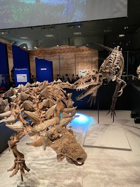 特別展「恐竜博2023」に投稿された画像（2023/5/7）