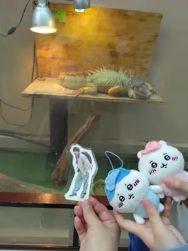 仙台うみの杜水族館に投稿された画像（2023/5/7）