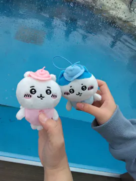 仙台うみの杜水族館に投稿された画像（2023/5/7）