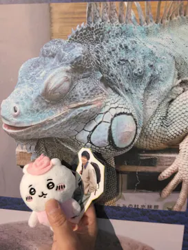 仙台うみの杜水族館に投稿された画像（2023/5/7）