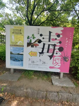 特別展「毒」に投稿された画像（2023/5/7）