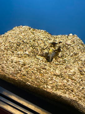 株式会社Gに投稿された画像（2023/5/7）