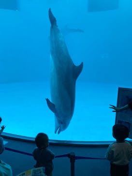 名古屋港水族館に投稿された画像（2023/5/7）