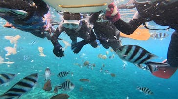 青の洞窟専門店　沖縄ダイビングショップ和に投稿された画像（2023/5/7）