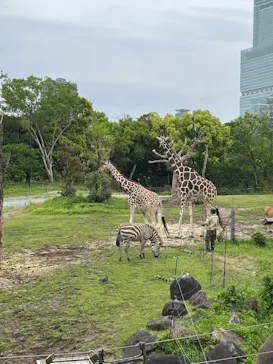天王寺動物園に投稿された画像（2023/5/7）