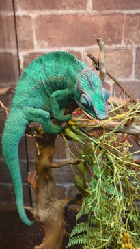 NARA IKIMONO MUSEUMに投稿された画像（2023/5/7）