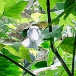 神戸どうぶつ王国に投稿された画像（2023/5/7）