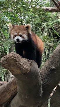 神戸どうぶつ王国に投稿された画像（2023/5/7）