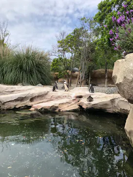 神戸どうぶつ王国に投稿された画像（2023/5/7）