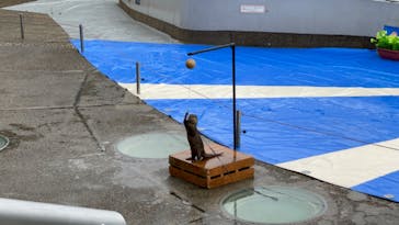 大分マリーンパレス水族館 「うみたまご」に投稿された画像（2023/5/7）