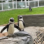 マリンワールド海の中道に投稿された画像（2023/5/7）