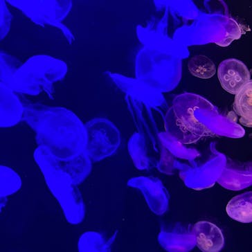 マリンワールド海の中道に投稿された画像（2023/5/7）