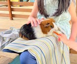 ネオパークオキナワに投稿された画像（2023/5/1）