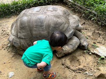 ネオパークオキナワに投稿された画像（2023/5/1）