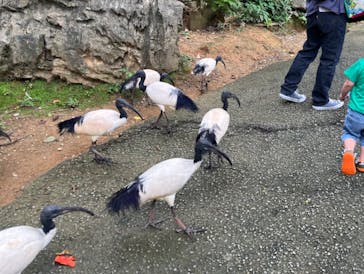 ネオパークオキナワに投稿された画像（2023/5/1）