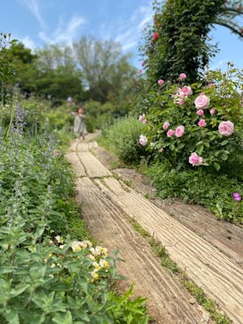 京成バラ園に投稿された画像（2023/5/7）