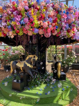 京成バラ園に投稿された画像（2023/5/7）