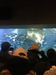大分マリーンパレス水族館 「うみたまご」に投稿された画像（2023/5/7）