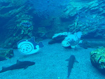 仙台うみの杜水族館に投稿された画像（2023/5/7）