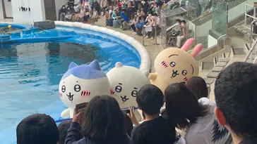 仙台うみの杜水族館に投稿された画像（2023/5/7）