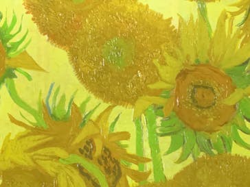 ゴッホ・アライブ神戸に投稿された画像（2023/5/7）