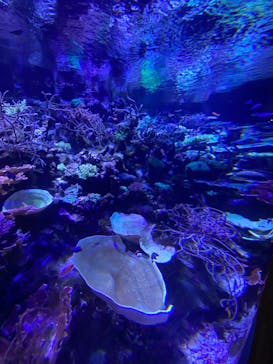 名古屋港水族館に投稿された画像（2023/5/7）