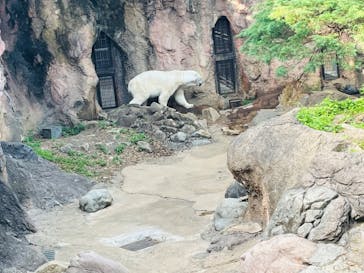 よこはま動物園ズーラシアに投稿された画像（2023/5/7）