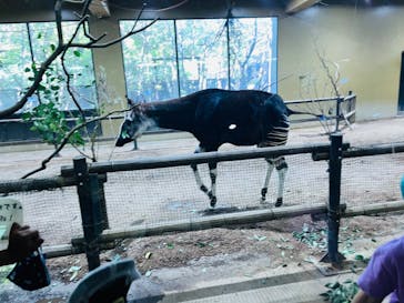 よこはま動物園ズーラシアに投稿された画像（2023/5/7）