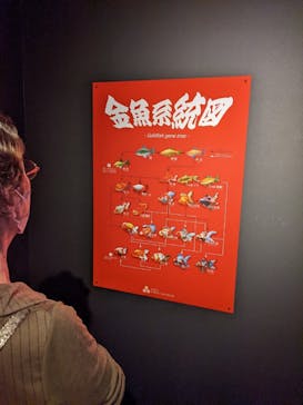 NARA IKIMONO MUSEUMに投稿された画像（2023/5/7）