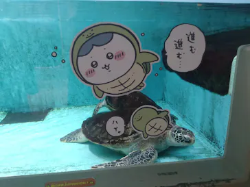 仙台うみの杜水族館に投稿された画像（2023/5/7）