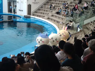 仙台うみの杜水族館に投稿された画像（2023/5/7）