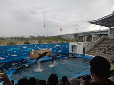 仙台うみの杜水族館に投稿された画像（2023/5/7）