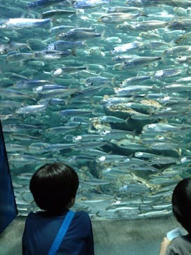 サンシャイン水族館に投稿された画像（2023/5/7）