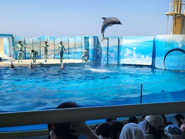 新江ノ島水族館に投稿された画像（2023/5/7）