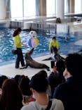 アクアワールド茨城県大洗水族館に投稿された画像（2023/5/7）