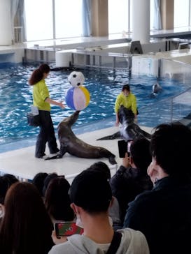 アクアワールド茨城県大洗水族館に投稿された画像（2023/5/7）