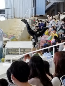 アクアワールド茨城県大洗水族館に投稿された画像（2023/5/7）