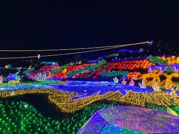 伊豆ぐらんぱる公園に投稿された画像（2023/5/7）