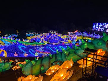 伊豆ぐらんぱる公園に投稿された画像（2023/5/7）